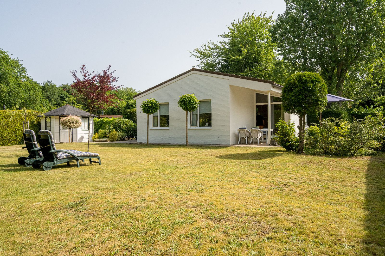 Renesse, De Scholekster - Image 1