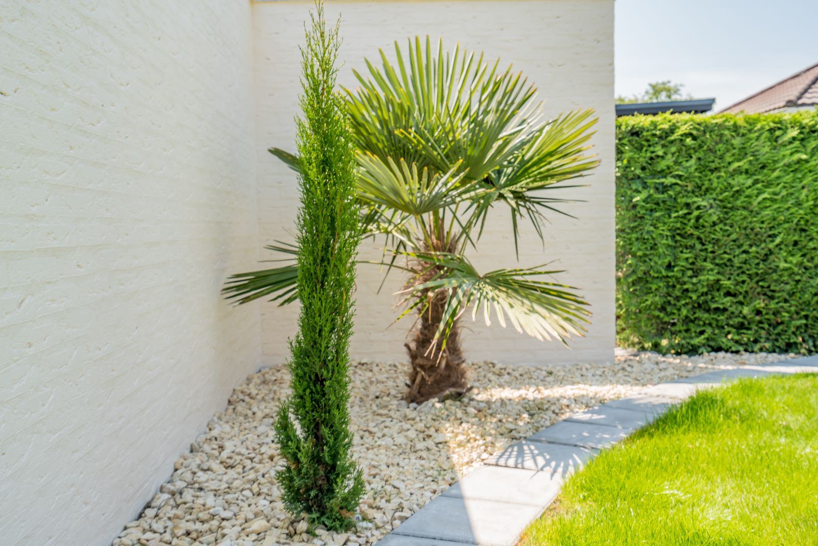 Renesse, Horizon 72 - Image 19