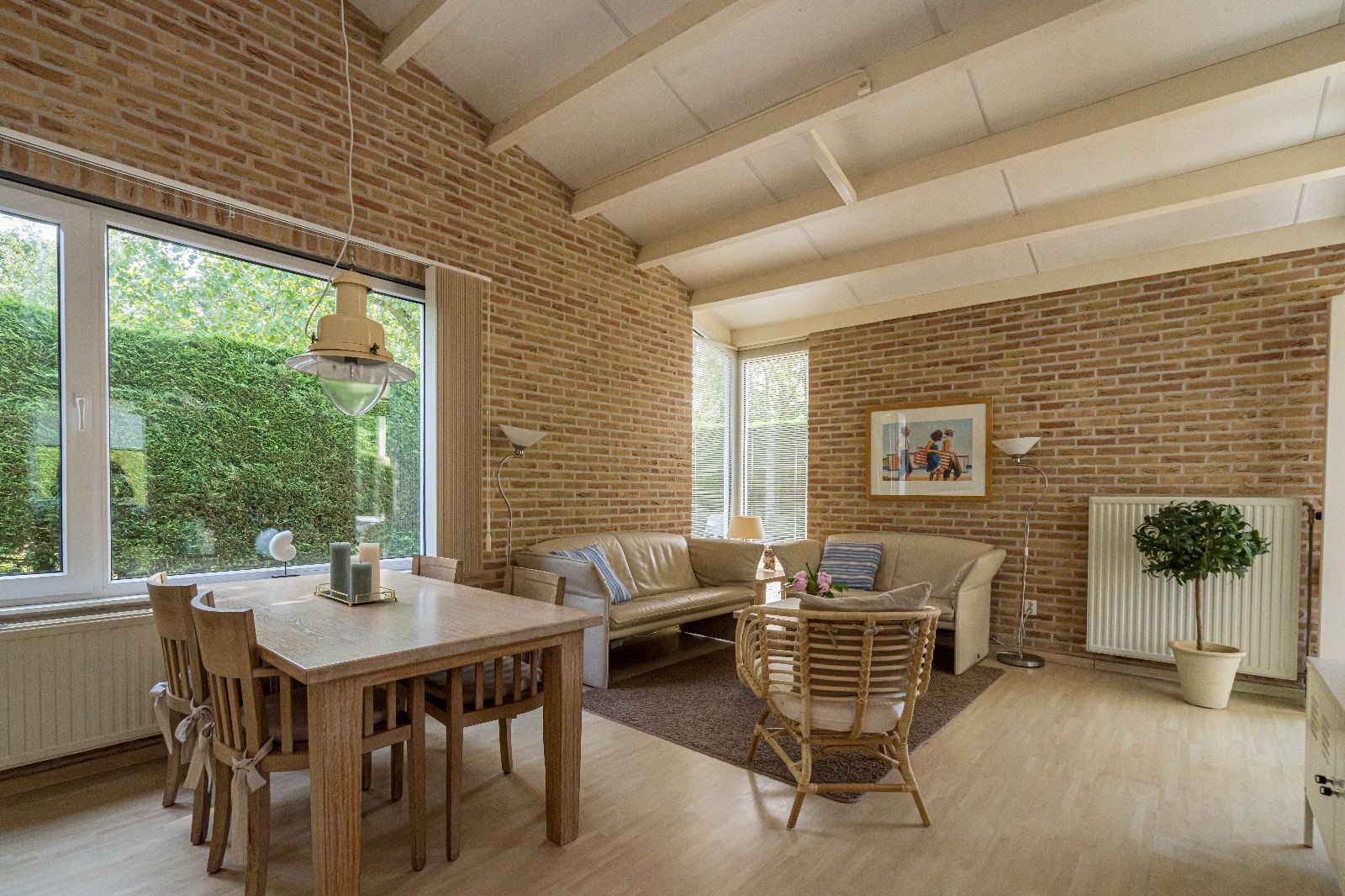 Renesse, De Scholekster - Image 2