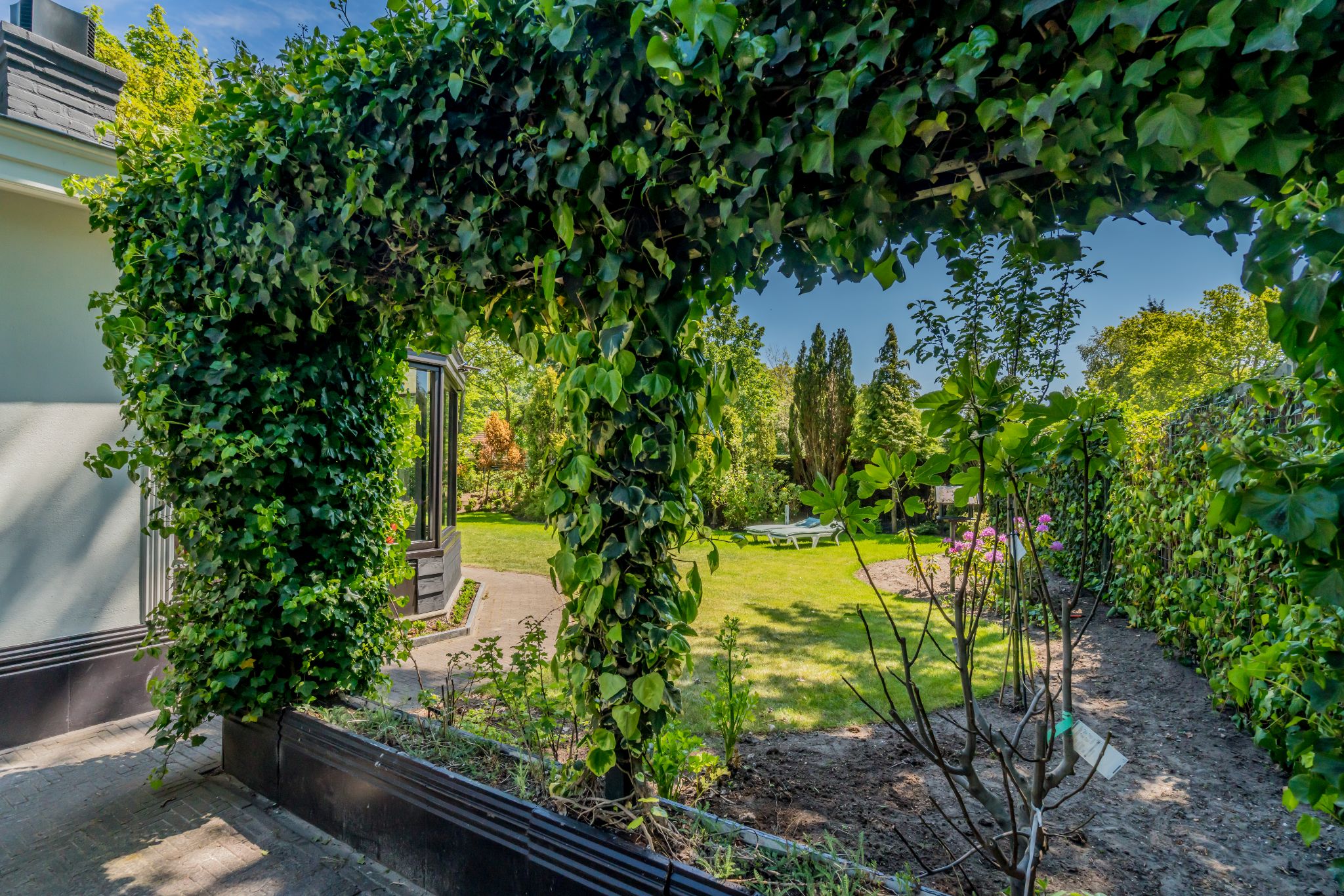 Renesse, De Patrijs - Image 30