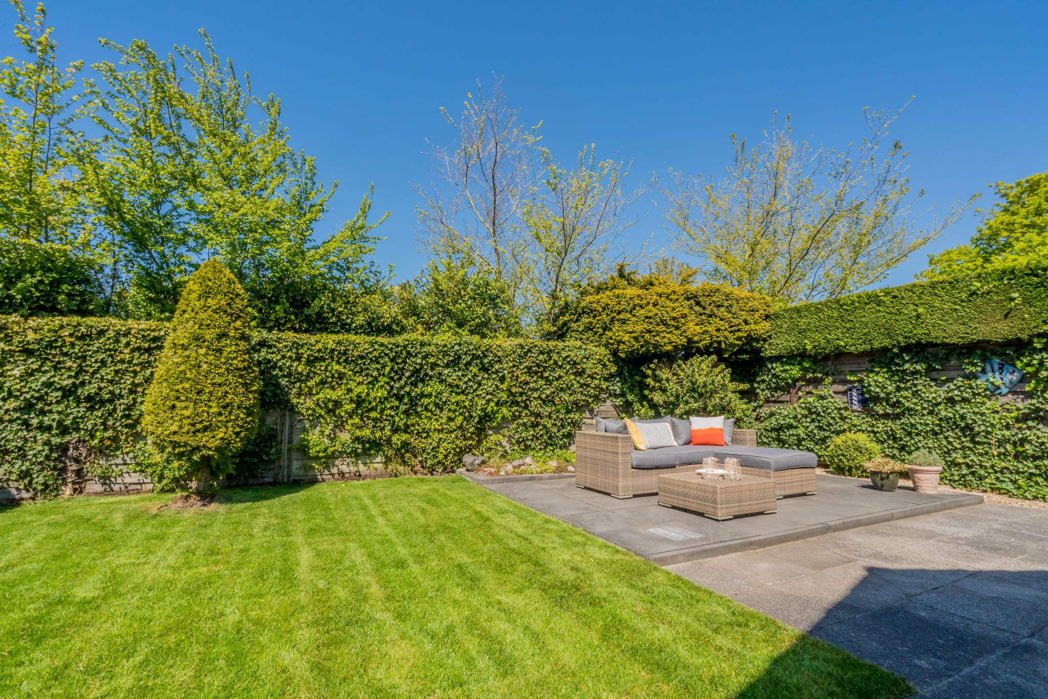 Renesse, Horizon 2 - Image 20