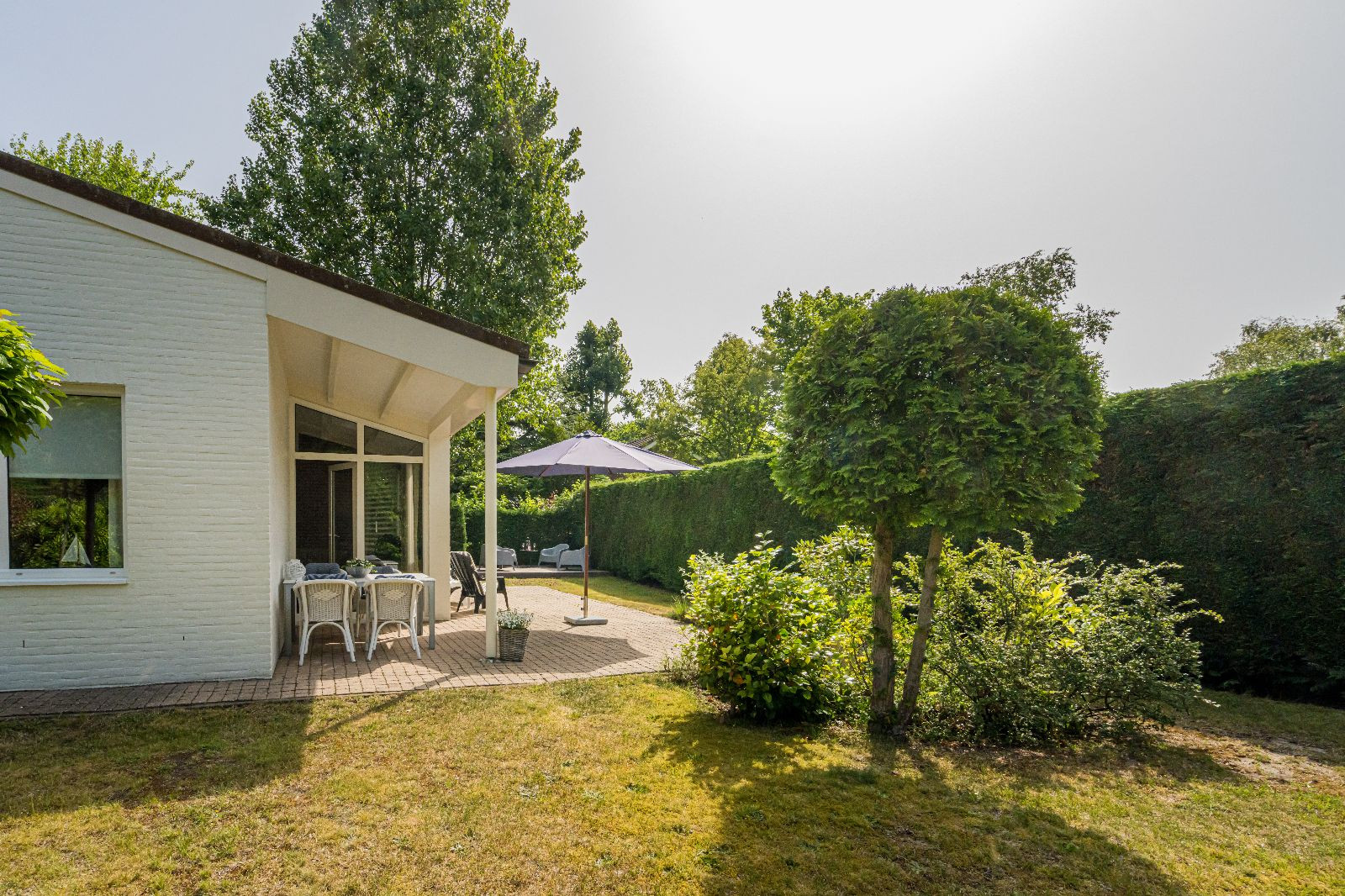 Renesse, De Scholekster - Image 13