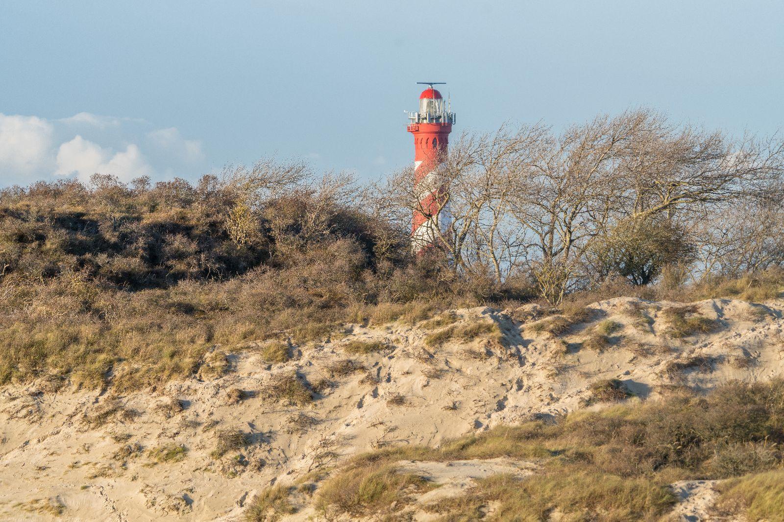 Renesse, Bongerd 30 - "Lotus" - Image 25