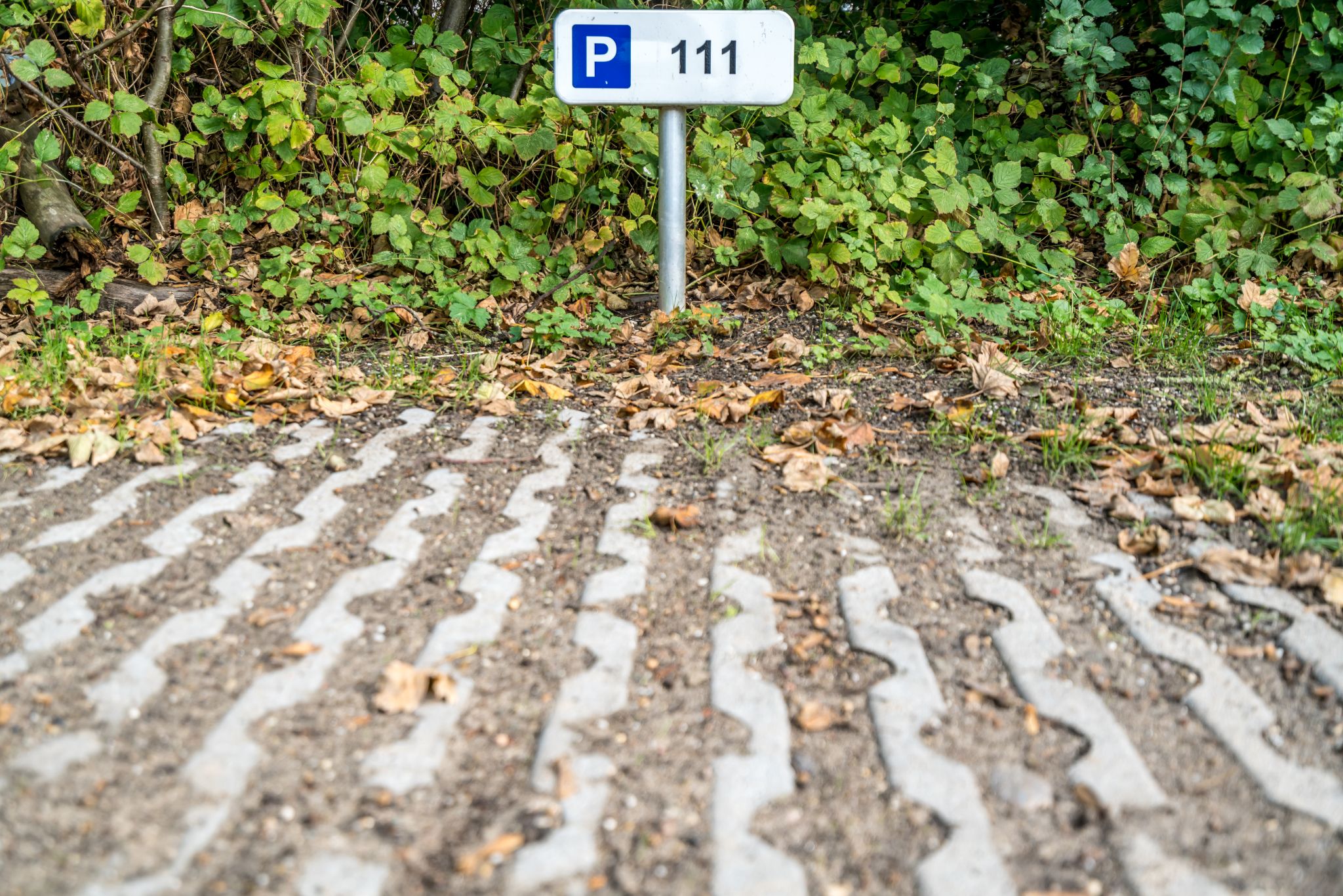 Renesse, Horizon 111 - Image 21