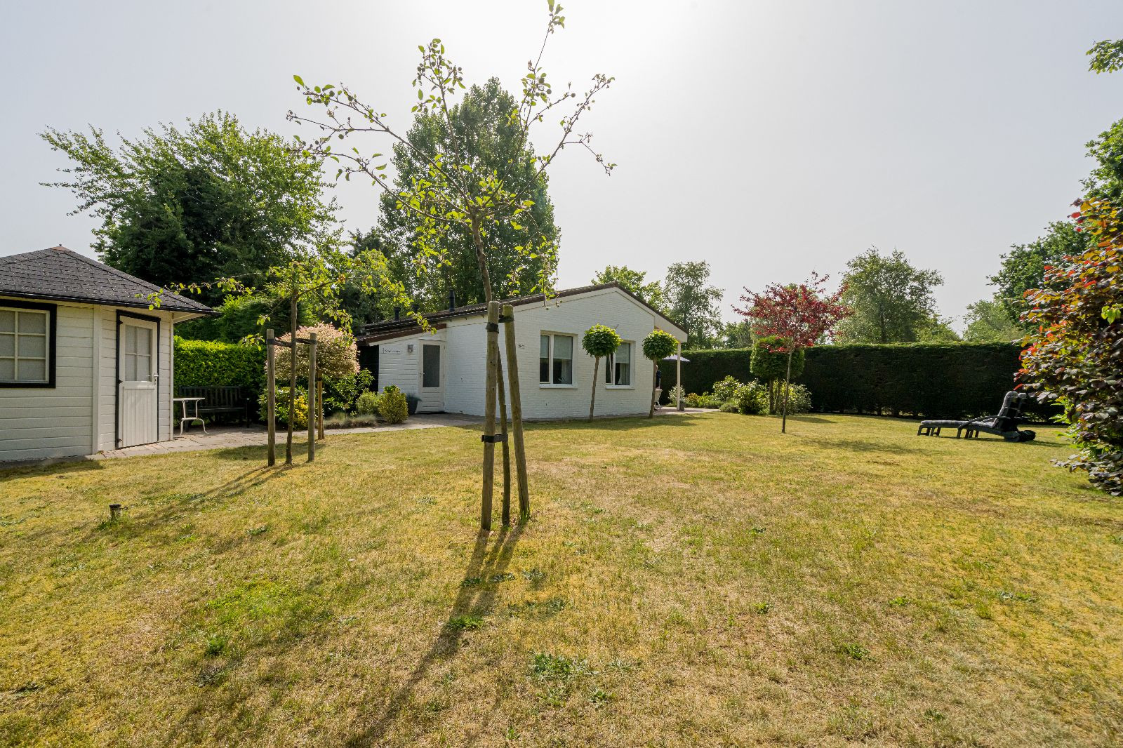 Renesse, De Scholekster - Image 11