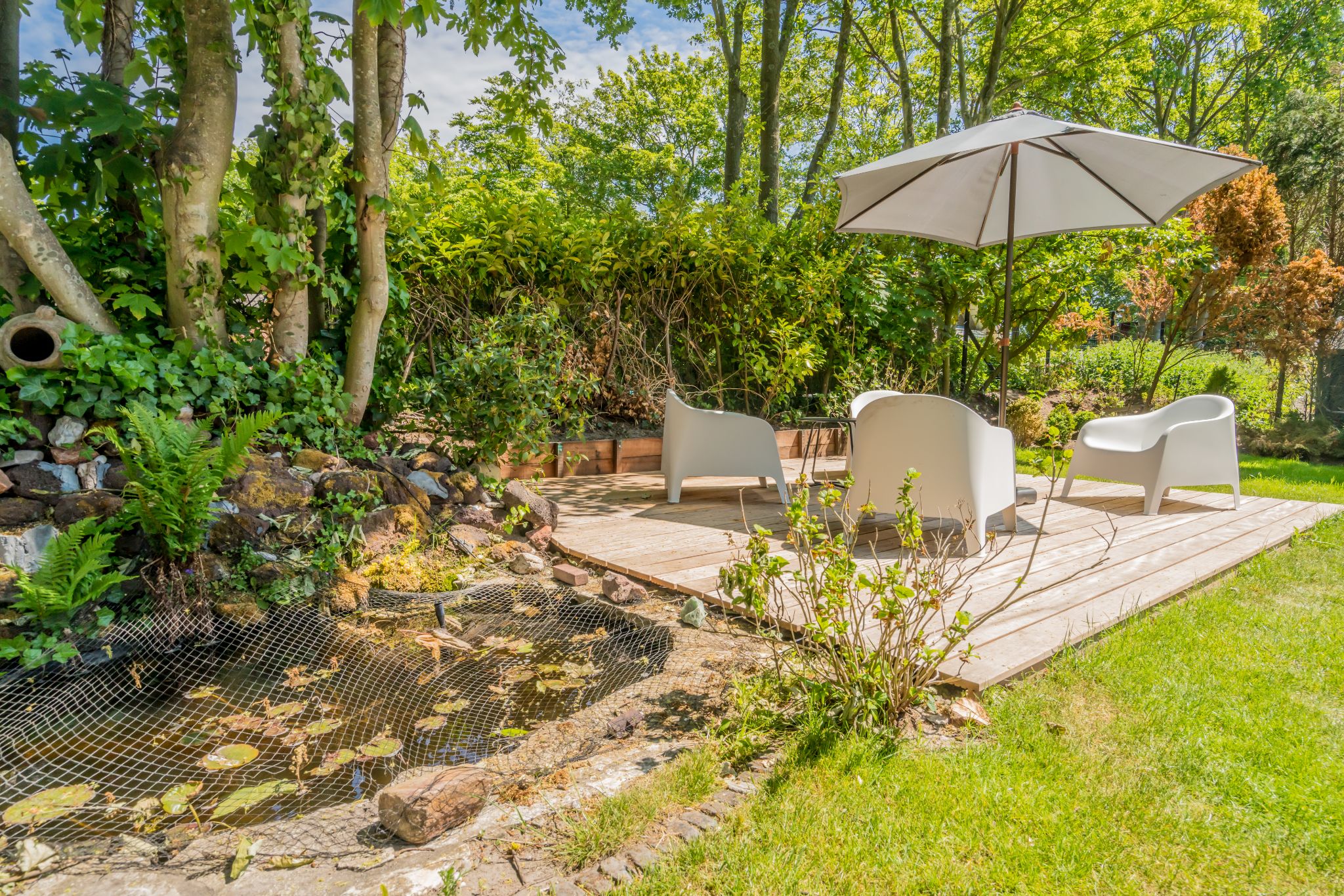 Renesse, De Patrijs - Image 4