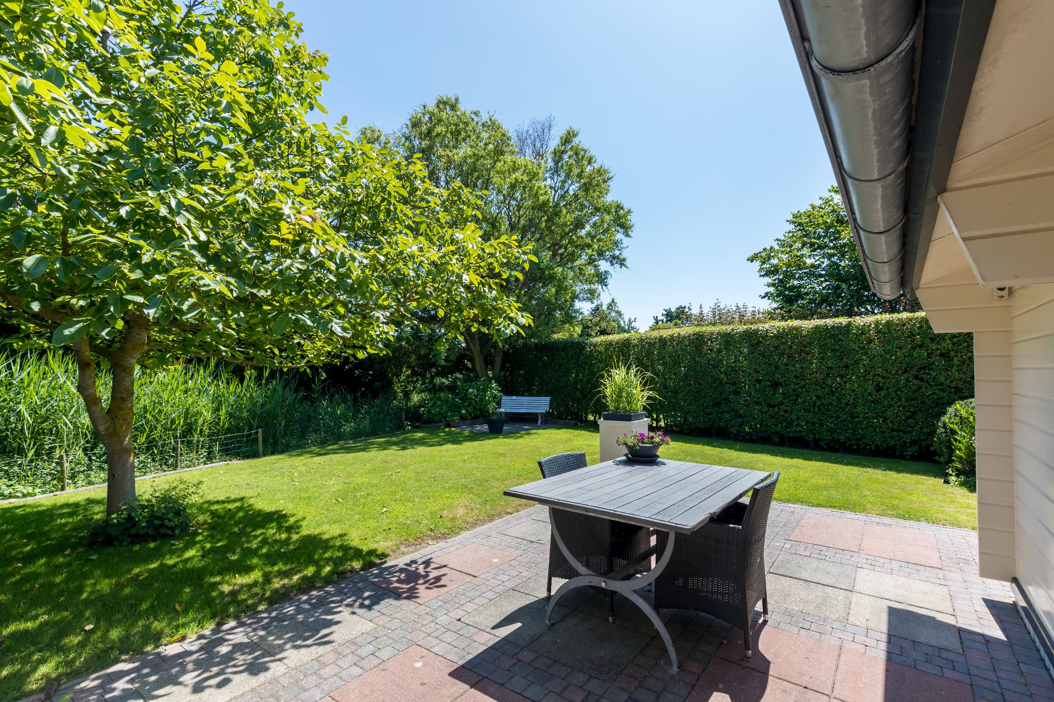 Renesse, Beachpark 26 - Image 20