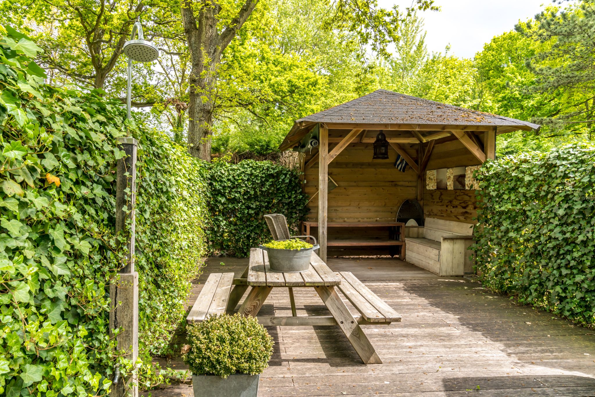 Renesse, Elzenmeet 2 - Image 14