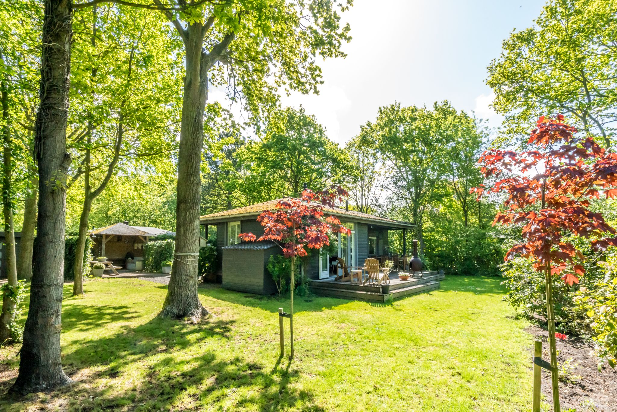 Renesse, Elzenmeet 2 - Image 1