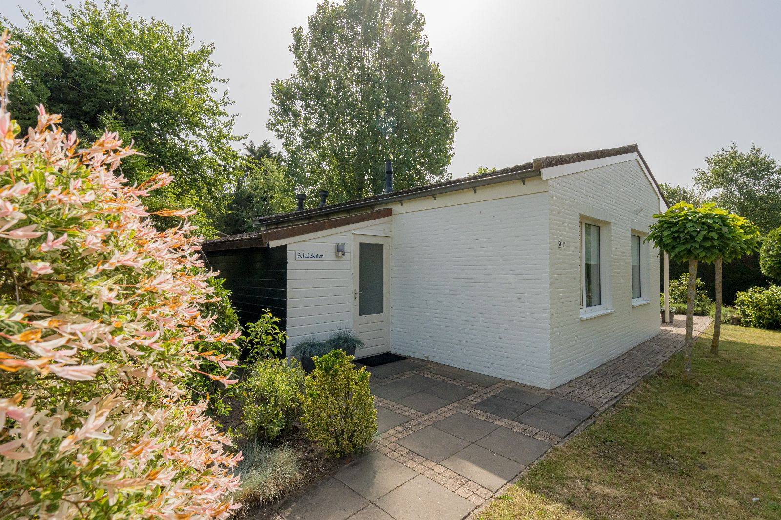 Renesse, De Scholekster - Image 19