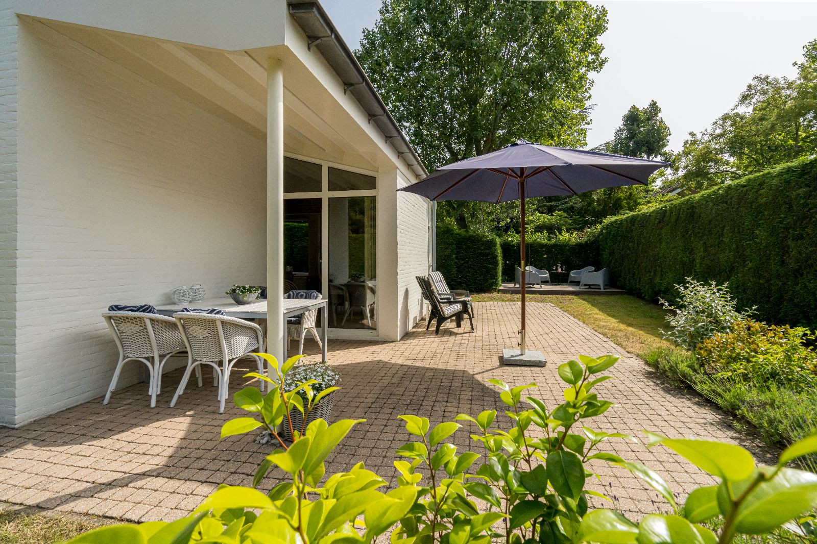 Renesse, De Scholekster - Image 16