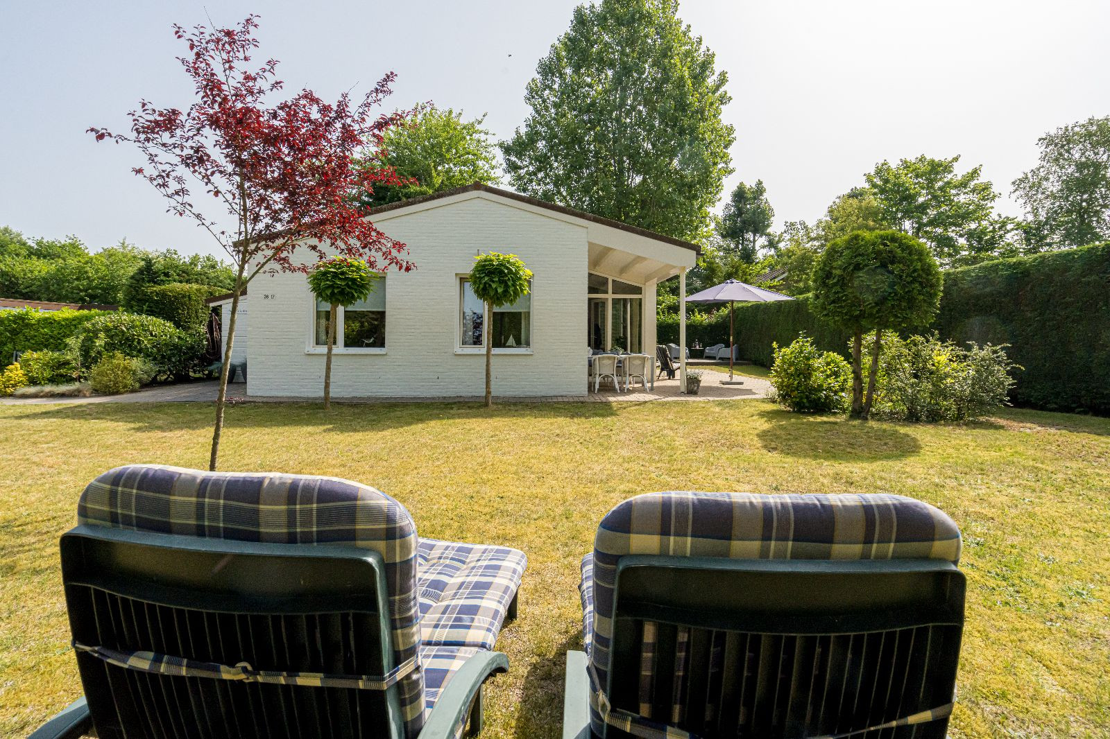 Renesse, De Scholekster - Image 15