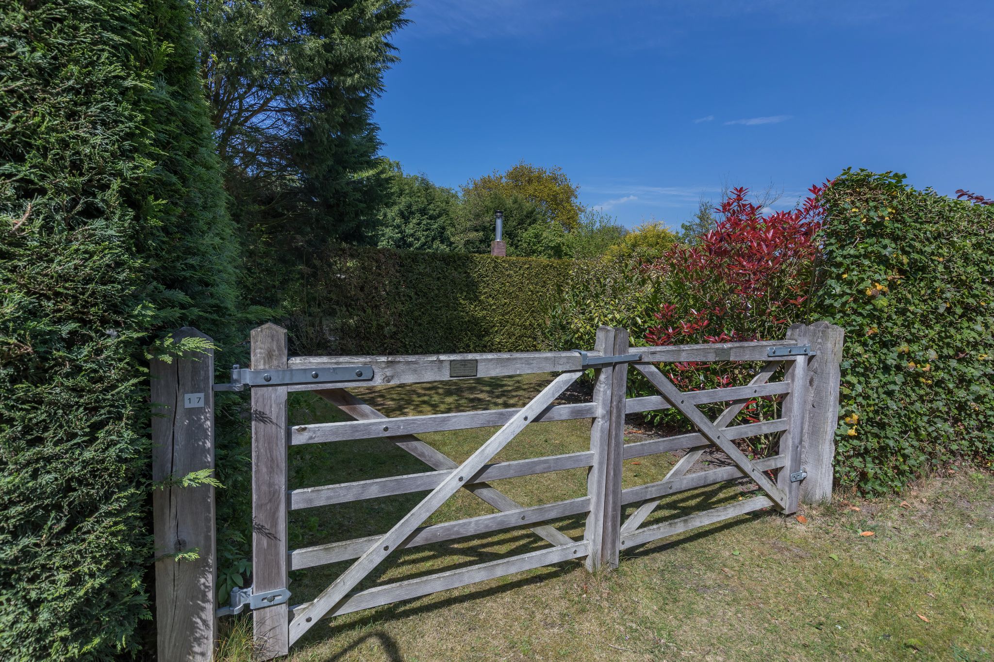 Renesse, De Scholekster - Image 20